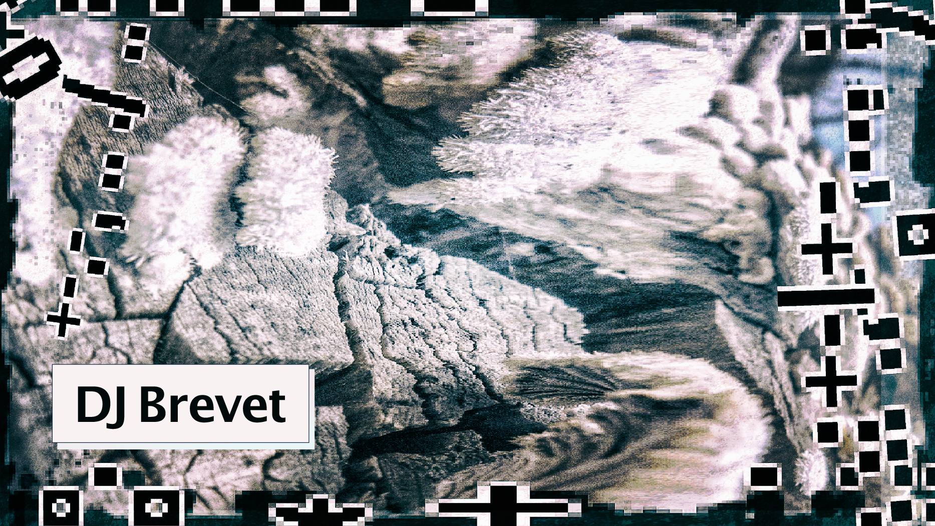 djbrevet_prmateriale_bark_16-9_screen