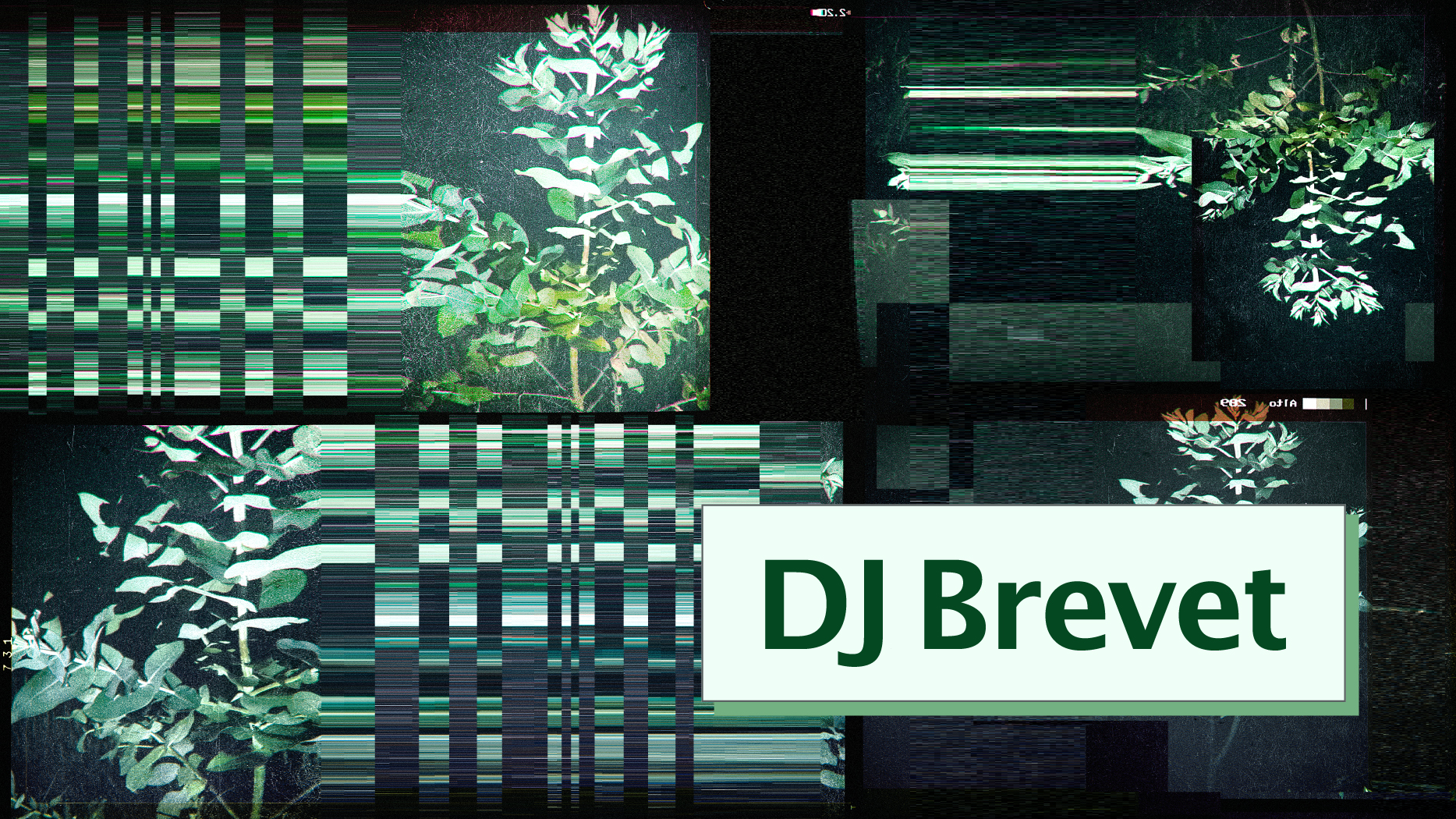 djbrevet_prmateriale_nat_16-9_screen