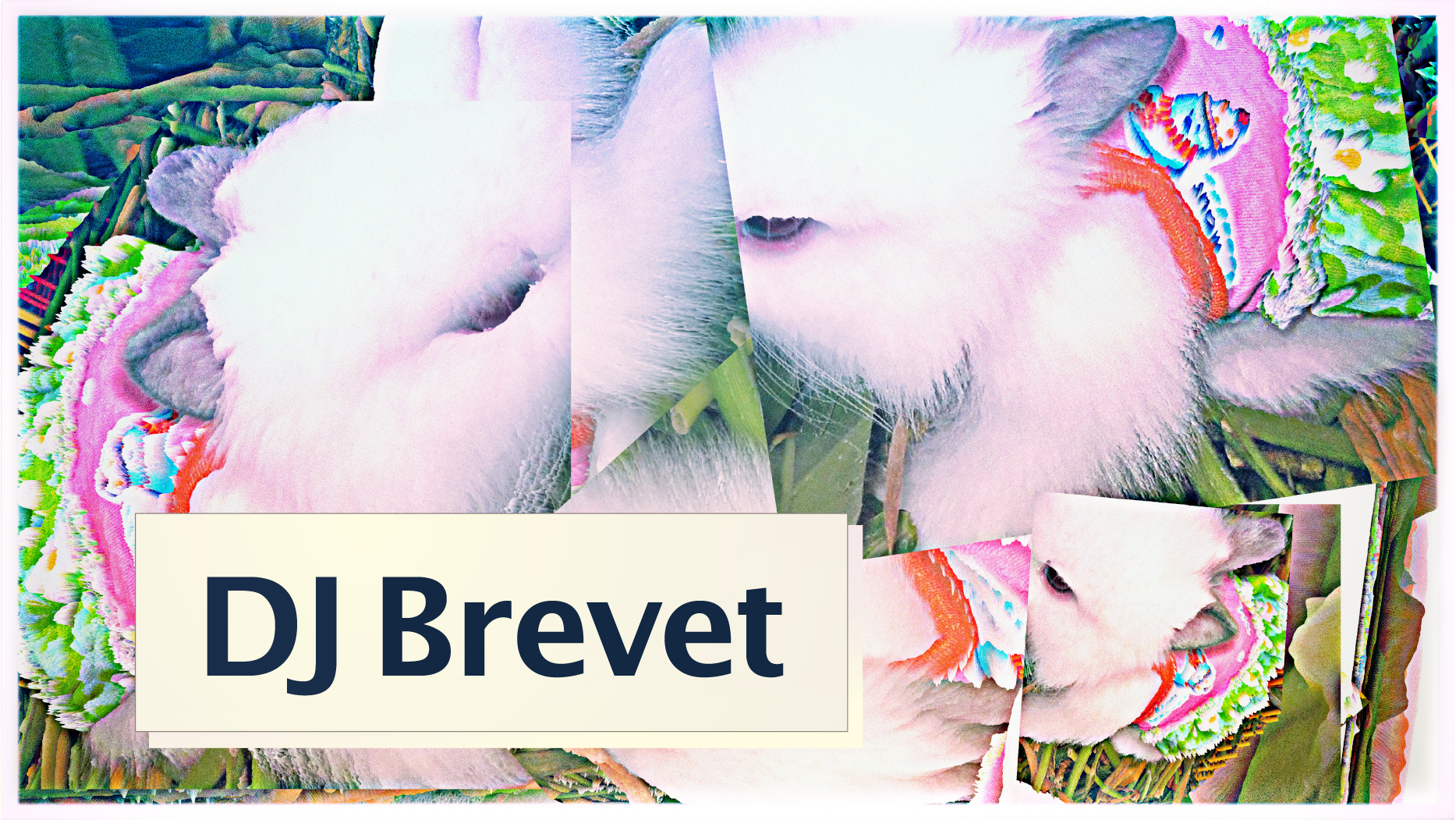 djbrevet_prmateriale_pels_16-9_screen